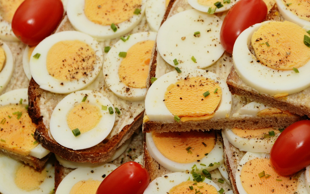 Eier – Egg Protein im Kraftsport !